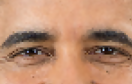 Enlargement blocks — a 100% crop of the same frame